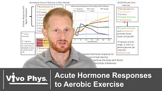 Overview of Acute Hormone Responses to Aerobic Exercise
