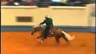 Wimpys Little Step - 2002 NRHA Futurity