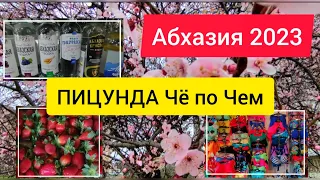 ЦЕНЫ в ПИЦУНДЕ 2023.ОБЗОР МАГАЗИНА ПРОДУКТОВ в АБХАЗИИ. РЫНОК В ПИЦУНДЕ.