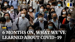 Six months after WHO declared Covid-19 a public health emergency, what more do we know now?