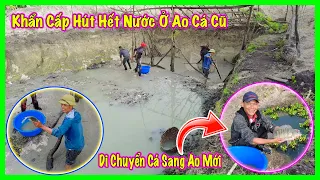 Linh Philip || Lý Do Vì Sao Phải Khẩn Cấp Tát Cạn Ao Cứu Đàn Cá Giống ???