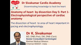 Anatomy of heart  by dissection Day 5: Part 1- Electrophysiological perspective of cardiac anatomy