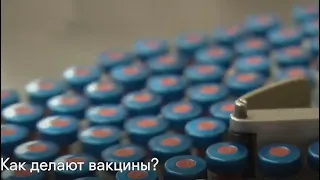 Как делают вакцины?