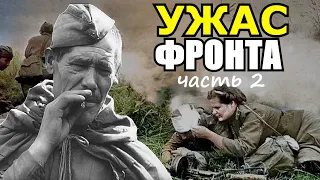 Ужас Ленинградского фронта. Бои в Погостье. Как такое можно пережить?! Воспоминания о войне Часть 2