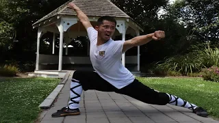 Shaolin Kung Fu Wushu Training-Seven Star Fist Tutorial Part 1 ( Top 10 Famous Form )