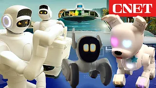 The Best Robots of CES 2023, From Robot Pets To Humanoid Helpers