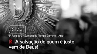 Salmo 36 A salvação de quem é justo vem de Deus (6ª feira da 3ª Semana do Tempo Comum - Ano I)