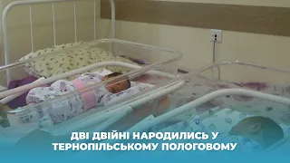 Дві двійні народились у тернопільському пологовому