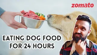 Zomato Host Submission | Eating Pet Meal for 24 hours |