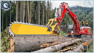 101 AMAZING Fastest Big Wood Chainsaw Machine Working At Another Level ▶6