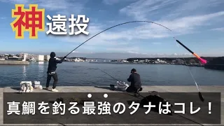 カゴ釣り初心者でも真鯛が釣れまくる最強の仕掛けとタナはコレ！