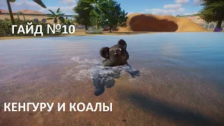 Играем в Planet Zoo Гайд №10 Кенгуру и Коалы