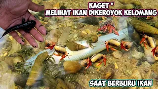 KAGET LIHAT IKAN DIKEROYOK KELOMANG SAAT HUNTING IKAN