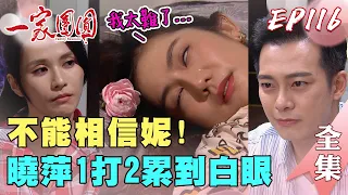 一家團圓 第116集 Family Reunion EP116 曉萍被左右夾攻 1打2累到白眼｜完整版｜【加捷生醫】