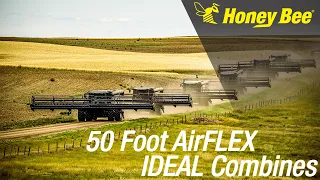 50' Honey Bee AirFLEX on 6 IDEAL combines!