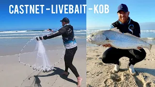 KOB in the SURF with LIVE BAIT