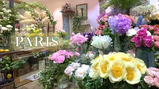 [Paris] Dreamy flower shop / Place des Vosges full of light / Elegant sweets at the salon de thé