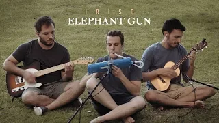 Elephant Gun – Beirut (Cover by IRISA)