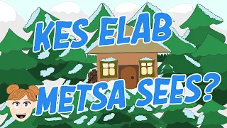 Kes elab metsa sees? | Lastelaulud | LOLALA