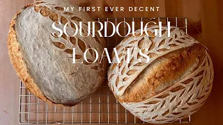 My Very First Sourdough Loaves I Feel Proud of!
