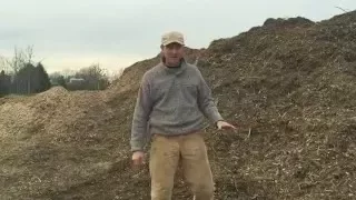 Building Soil with Composted Wood Chips