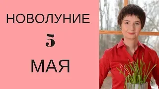 НОВОЛУНИЕ 5 мая 2019. Новая луна - новые планы. Обряд на желание. Гадание онлайн