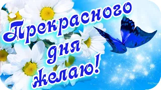 Доброе утро! ❤️Желаю хорошего дня ❤️Прекрасной недели!❤️ Good morning!❤️Музыкальная открытка❤️