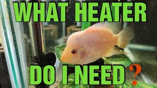 WHAT SIZE AQUARIUM HEATER DO YOU NEED? [EASY TRICK]