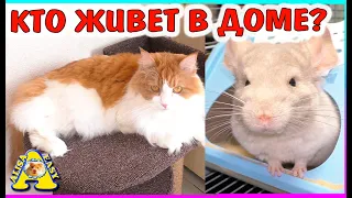 ВСЕ питомцы из нашего дома /ЗООПОКУПКИ К НОВОСЕЛЬЮ / Alisa Easy Pets