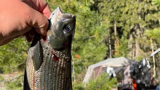 Рыбалка и подводная охота на Хариуса