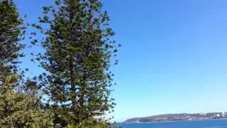 Australia - Sydney - Queenscliff  beach - FreshWater Reserve HD 03 - 2014 02 09 15:27