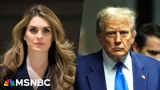 Hope Hicks ‘drops a bomb’ during Trump trial: ‘Nail in the coffin moment’