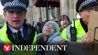 Greta Thunberg arrested during climate protest in London