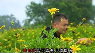 “王琪”又一首《一壶天涯》，将火遍大江南北！太好听