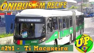 #241 TERMINAL INTEGRADO DA  MACAXEIRA -   Movimentação de ônibus no Recife