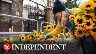 Sunflowers put outside Russian Embassy in London as sign of peace
