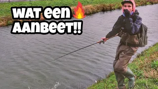 HARTVERZAKKENDE SNOEK AANBETEN live! Snoeken met kunstaas EN doodaas