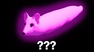 🔥 Hit TIkTok | Russian psenya Mouse-Sausage 🐭🌭 MOUSE-SAUSAGE at different speeds