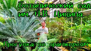 Ботанический сад им. Н.В.Цицина/ Прогулка по Оранжереи