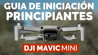 DJI MAVIC MINI - GUIA INICIACIÓN PRINCIPIANTES en ESPAÑOL - DJI FLY APP EXPLICADA