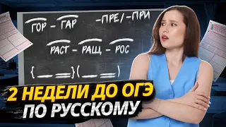 2 НЕДЕЛИ ДО ОГЭ ПО РУССКОМУ | Самые важные правила