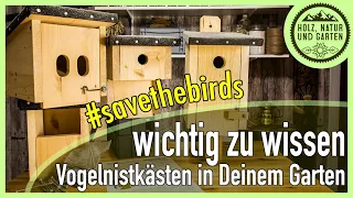 #savethebirds - aber wie??? Alles was Du über Vogelnistkästen in Deinem Garten wissen solltest...