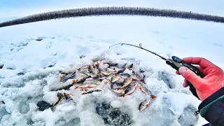 КЛЮЕТ ТОЛЬКО ОПУСКАЙ!!! ТАКОЕ ТОЛЬКО ЗДЕСЬ. РЫБАЛКА В ЯКУТИИ. ПЕРВЫЙ ЛЕД 2021-2022 №3