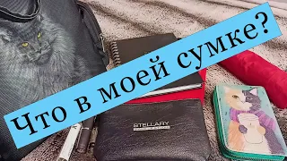 Что в моей сумке?👜👜👜