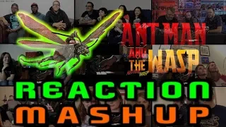 YOUTUBE REACTION MASHUP | Ant-Man and The Wasp | GROUP REACTION