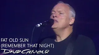 David Gilmour - Fat Old Sun (Remember That Night)