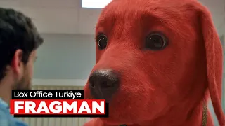 Clifford Büyük Kırmızı Köpek | Dublajlı Fragman