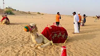 Dubai Desert Safari Park | দুবাই  ভ্রমন 😊