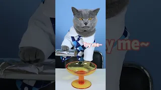 SUPER Satisfying Video Makes You Relaxed!!😍😍❤| Oddly Satisfying Tiktok #funnycat #shorts