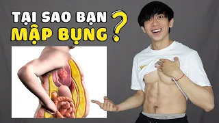 5 Điều Bạn Nên Biết Để KHÔNG BAO GIỜ Mập & Tích Mỡ